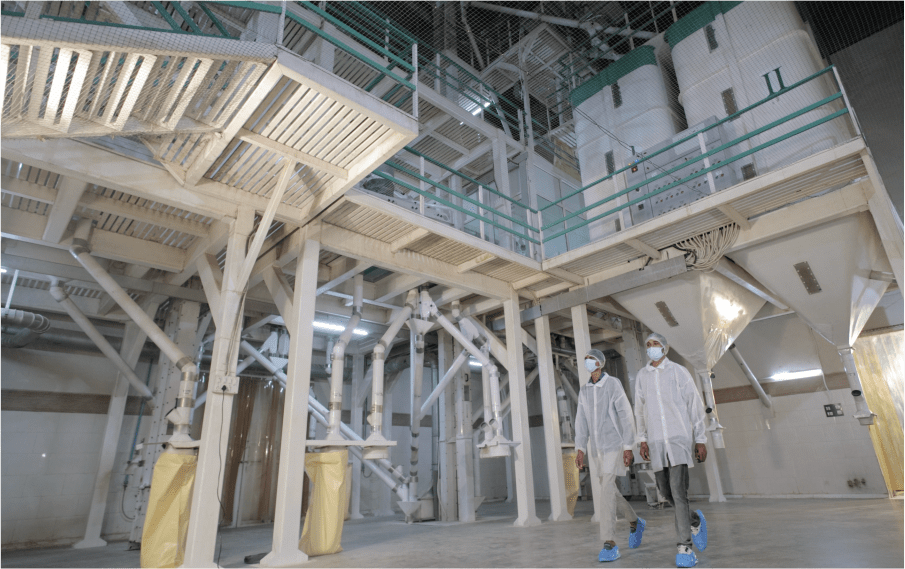 Cleaning, Grading & Processing Plant